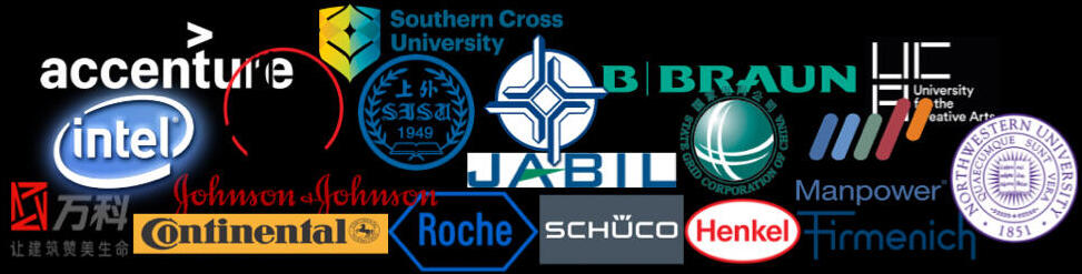 Logo clients Accenture Intel sinopec b Braun Roche Henkel northwestern